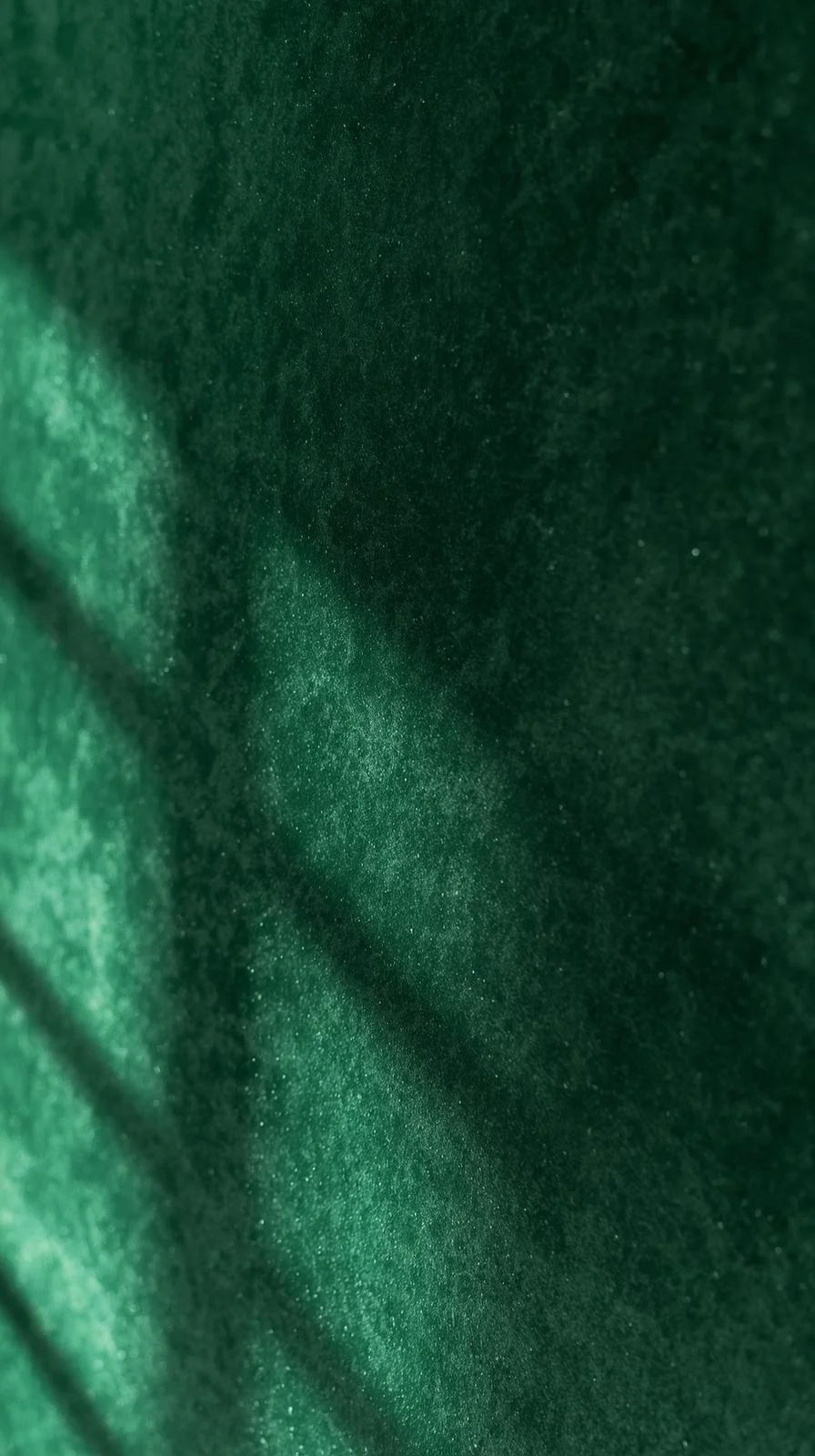 Gros plan en macro sur la texture riche d'un papier peint vert émeraude imitant le velours, avec ses reflets changeants.