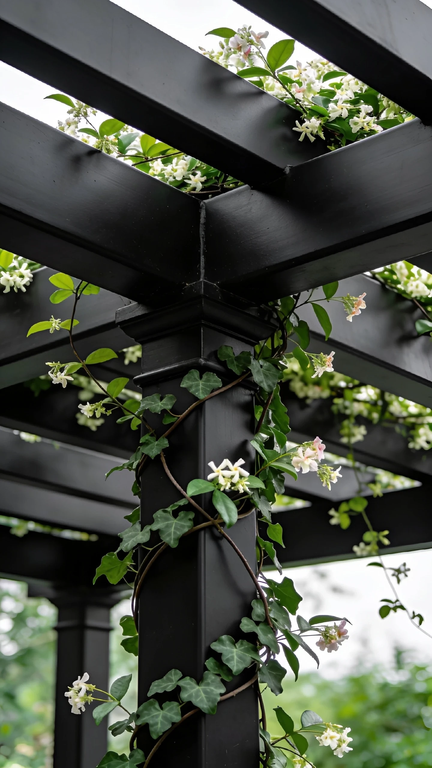 Acier Noir Mat avec Plantes Grimpantes : L'Alliance des Contraires